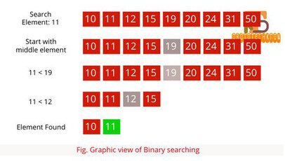 Introduction To Searching Algorithms - Linear Search | Binary Search programming